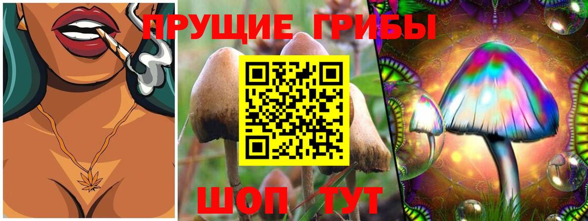 Фролово  Псилоцибиновые грибы MAGIC MUSHROOMS  Вход с VPN 